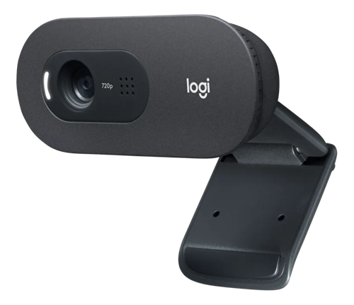 Logitech C505e HD 720P web camera - Black